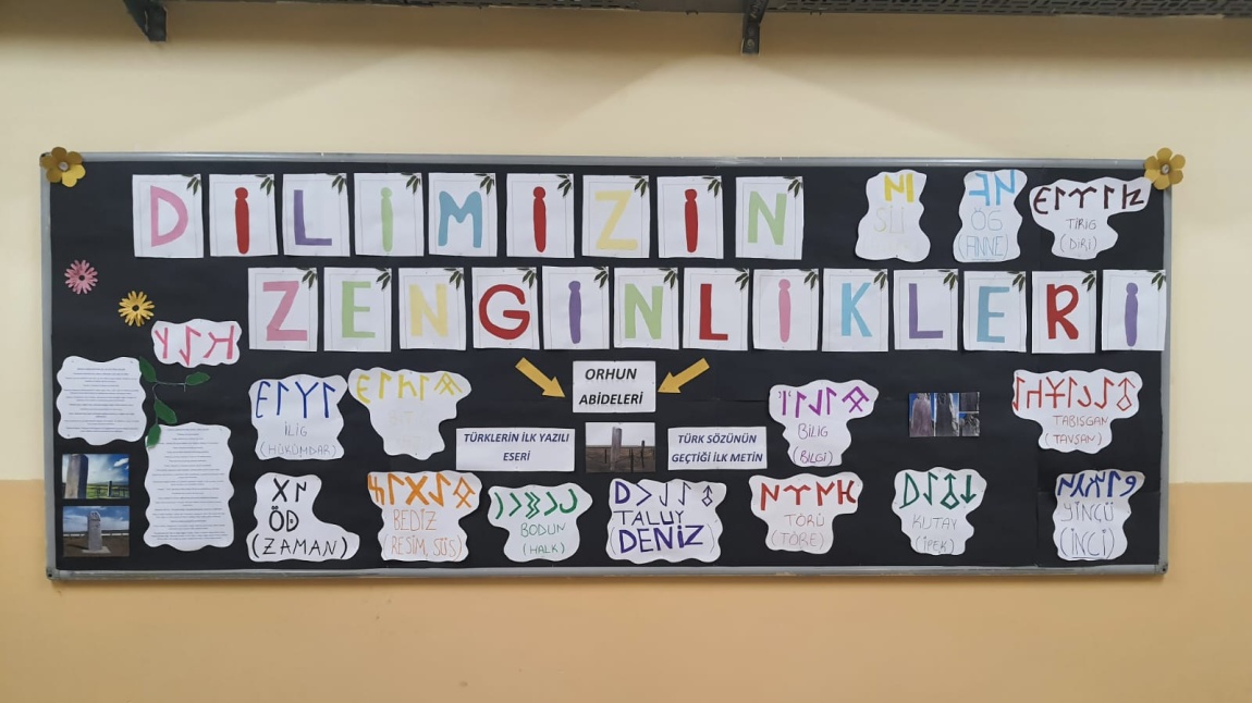 Dilimizin Zenginlikleri Projesi